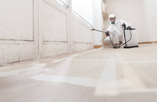 24/7 Emergency Mold Testing experts in Port Angeles, WA